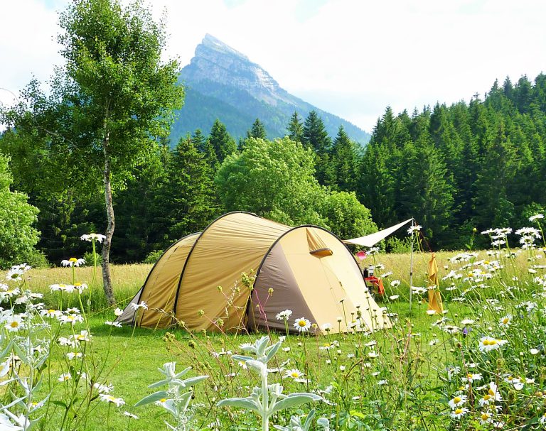 000010306841 768x607