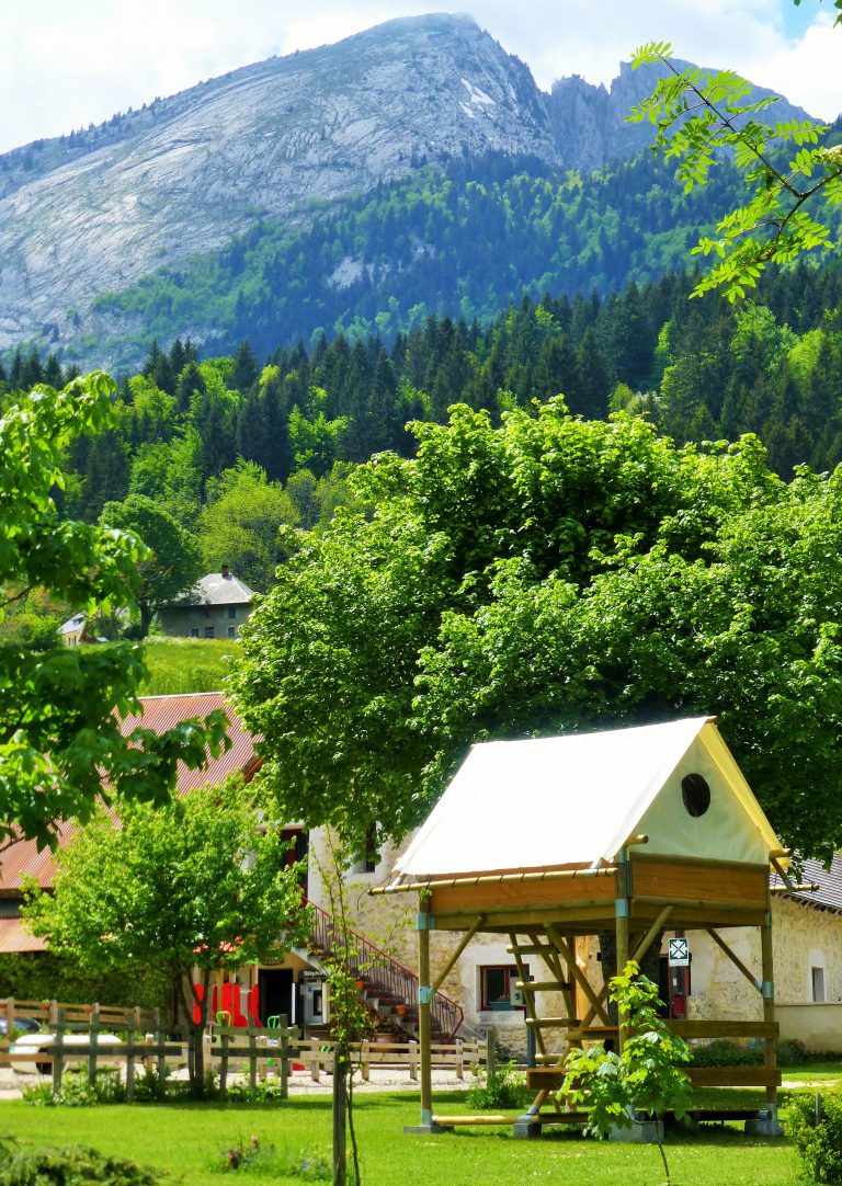 000010306911 768x1082