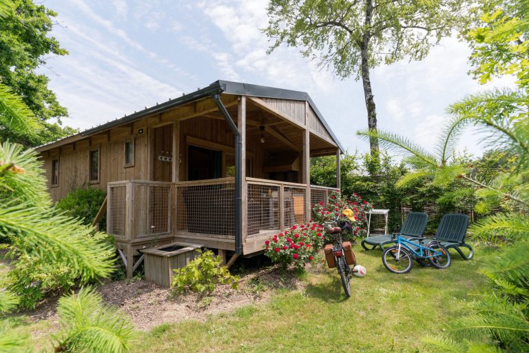 00001043460 1 scaled 768x512