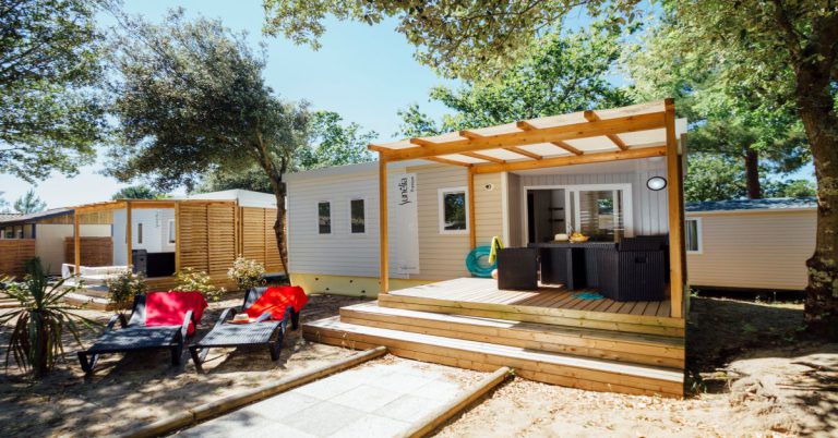 000010479081 768x402