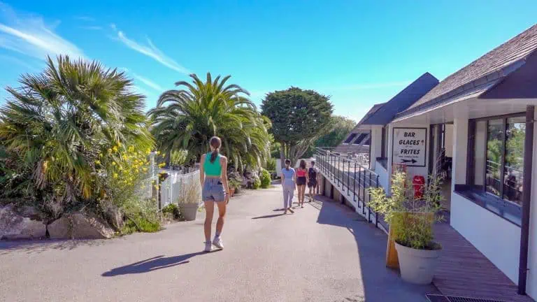 00001054751 1 scaled 768x432