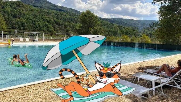 00001055438 1 768x432