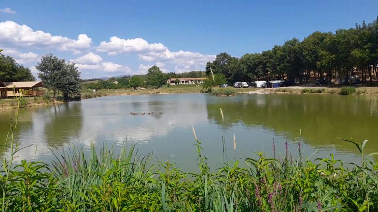 000010773311 768x432