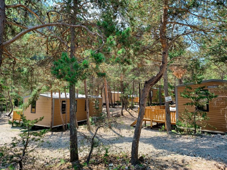 000009214221 768x576