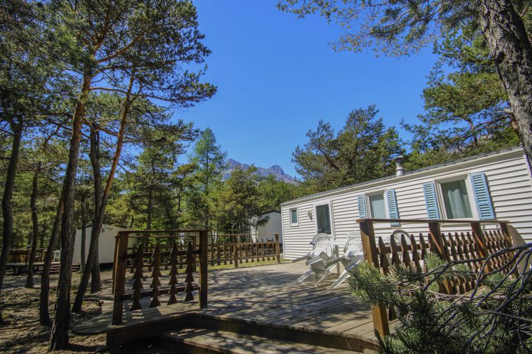 000009214231 768x512