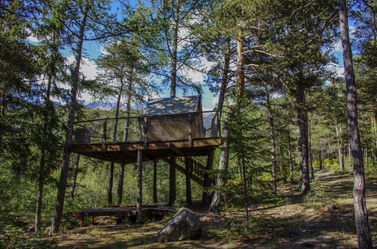 000009214251 768x509