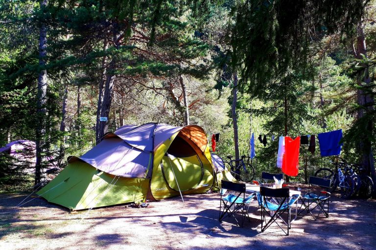 000009214281 768x512