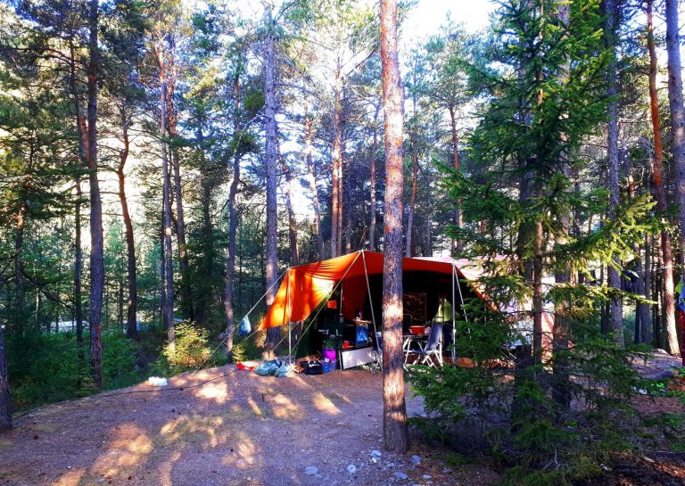 000009214301 768x545