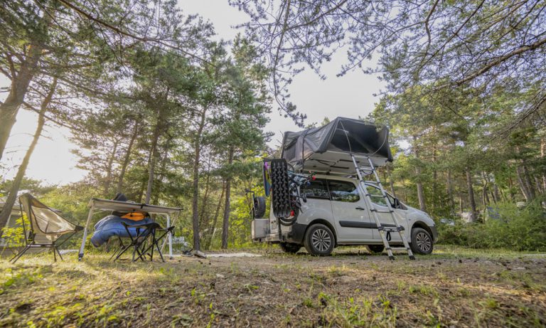 000011243311 768x461