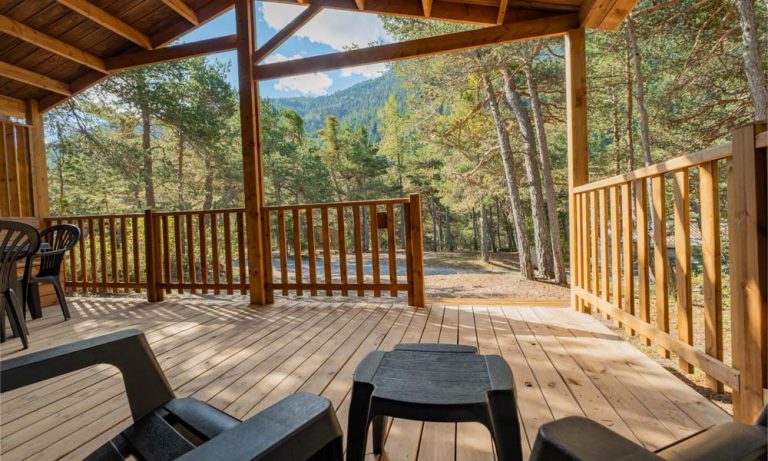 000011243321 768x461