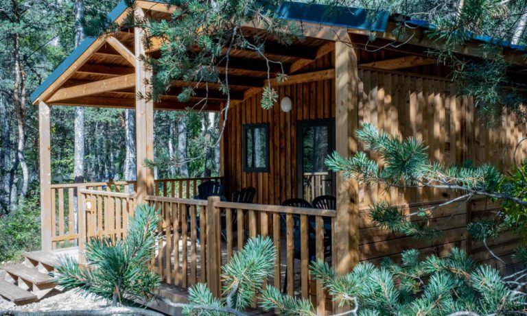 000011243331 768x461