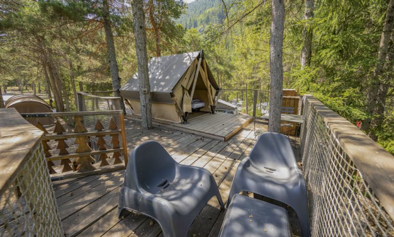 000011243341 768x461