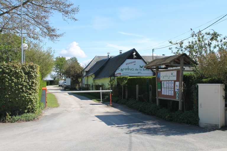 000004808431 768x512