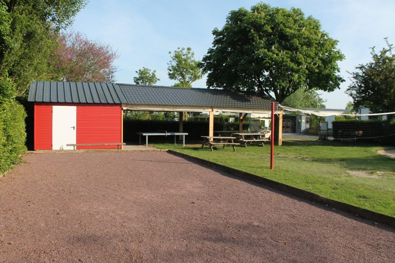 000005504281 768x512