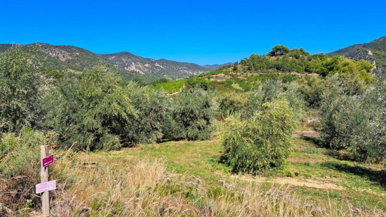 6 Domaine de lEcluse 768x432