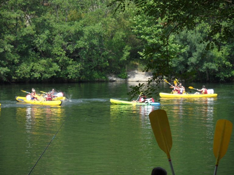 000004453371 768x576