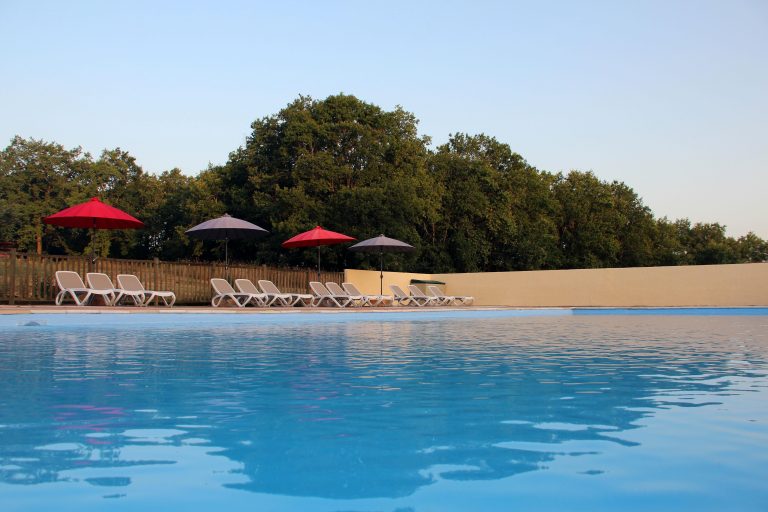 000004795721 768x512