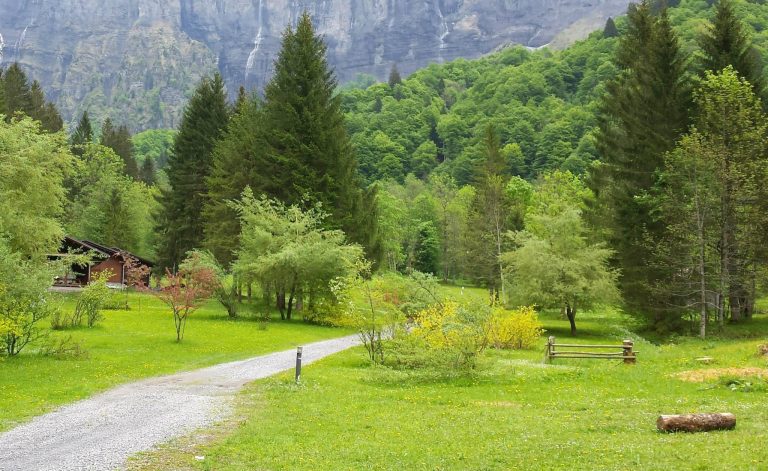 000006147331 768x471