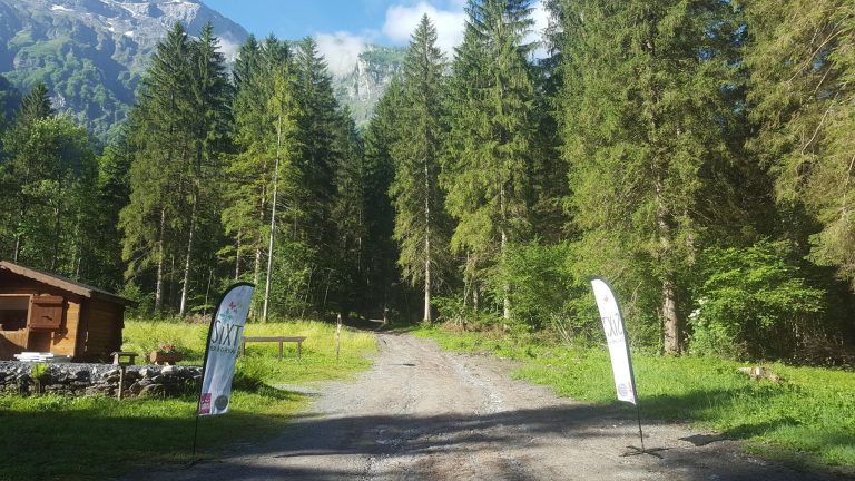 000006147341 768x432