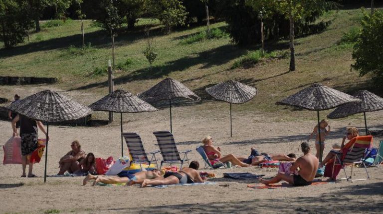 000006289141 768x429