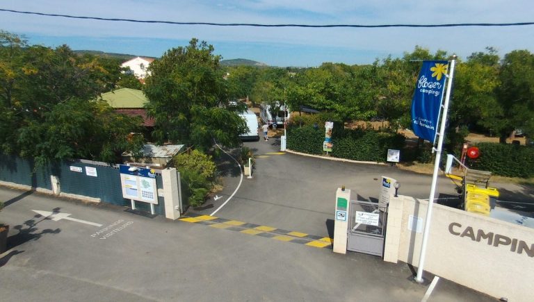 000007138471 768x435