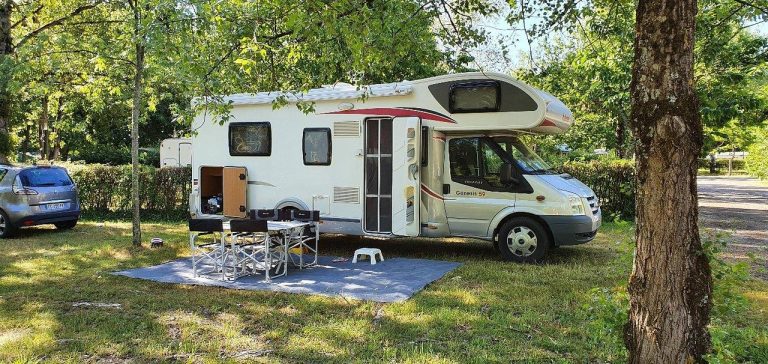 000007417251 768x364