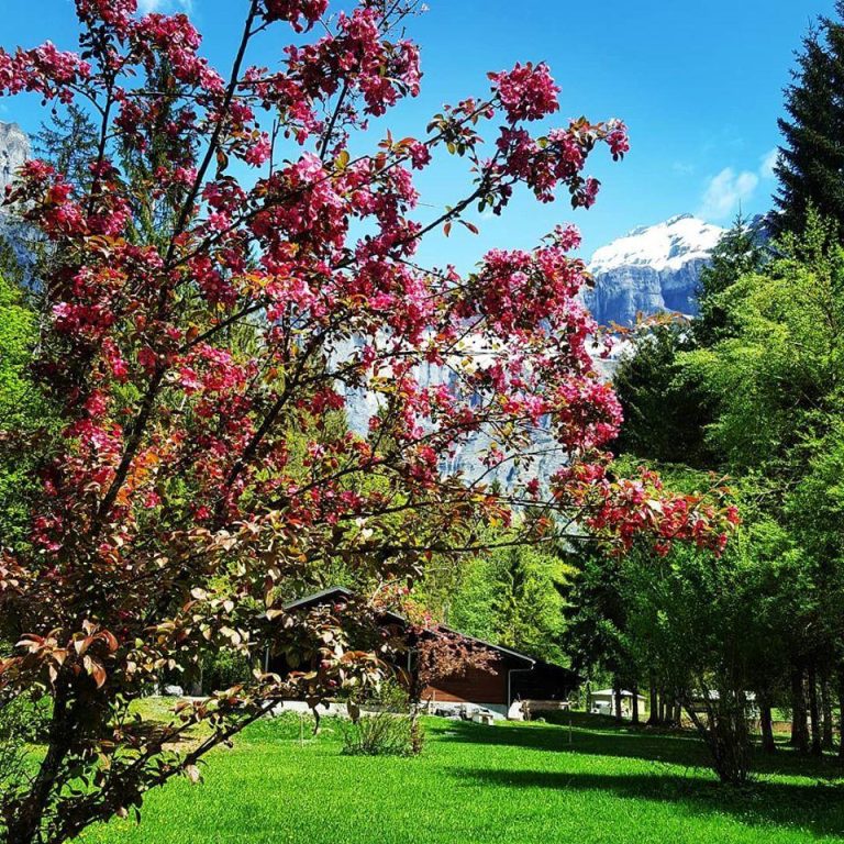 000007795241 768x768