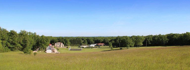 000008165271 768x284