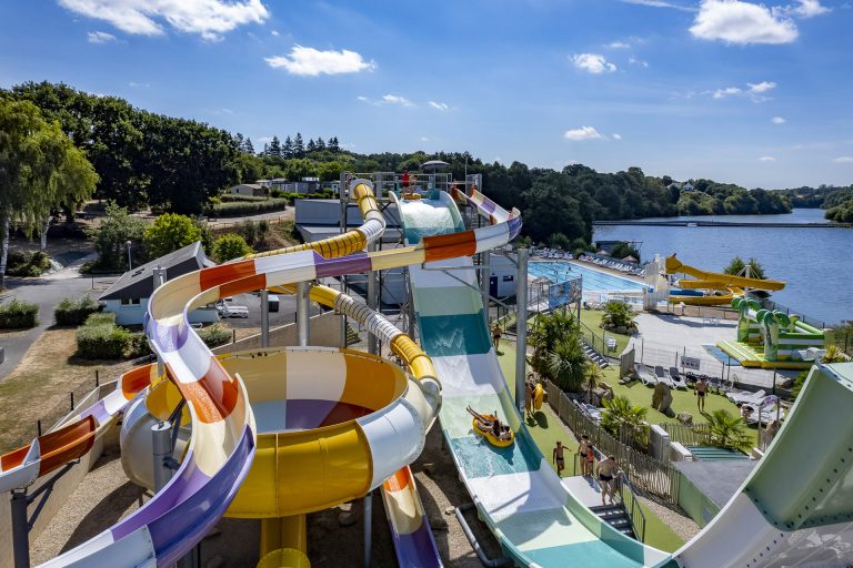 000010000061 768x512