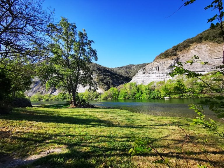 000010546371 768x576