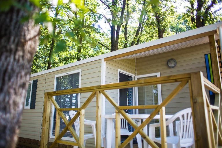 000004536921 768x512