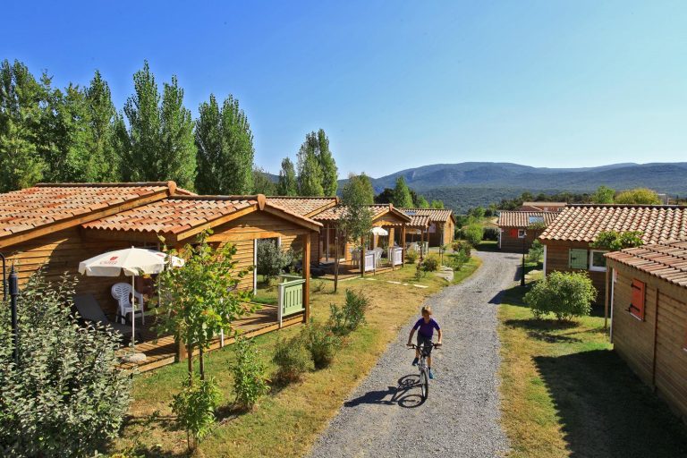 000006617331 768x512