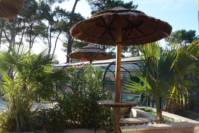 000007883261 768x512