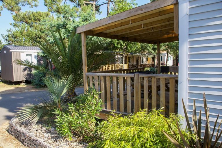 000007883291 768x512