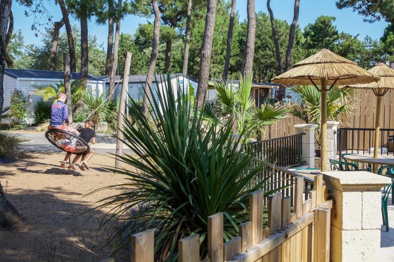 000007883341 768x512