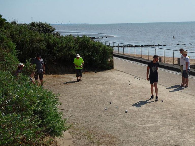 000008118451 768x576