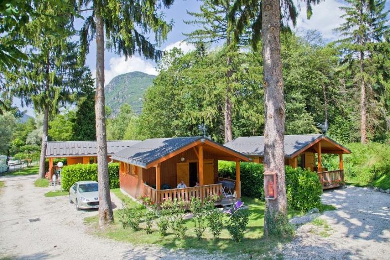 000003061351 768x512