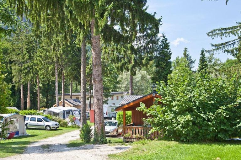 000008411791 768x510