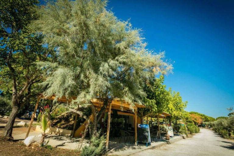 000004986581 768x513