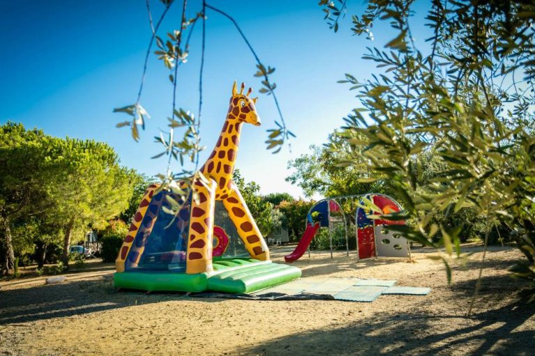 000004991871 768x512