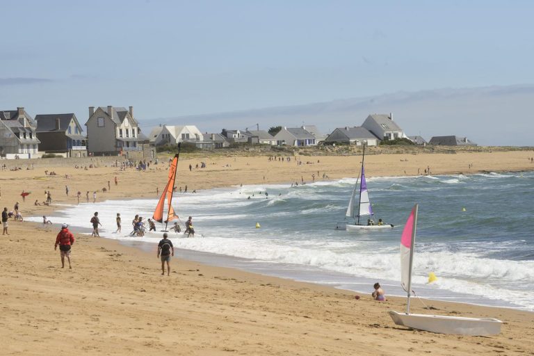 000005854061 768x512