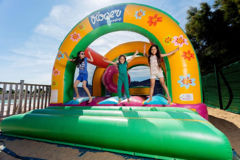 000005866151 768x512