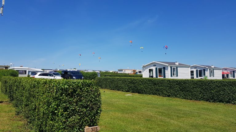 000007797871 768x432