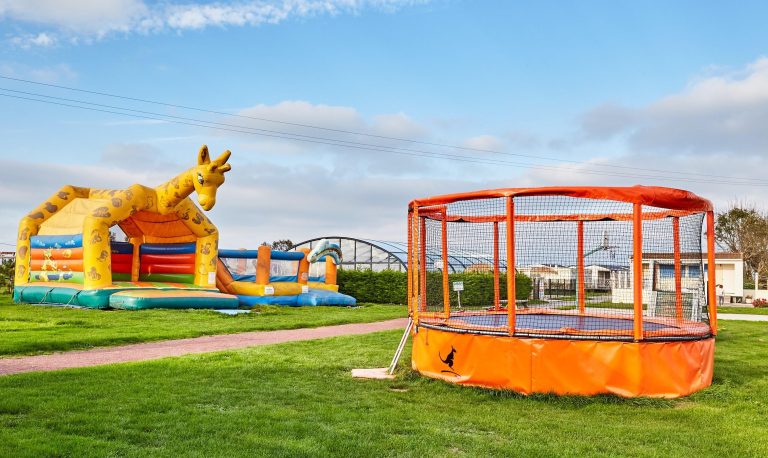 000007797891 768x458