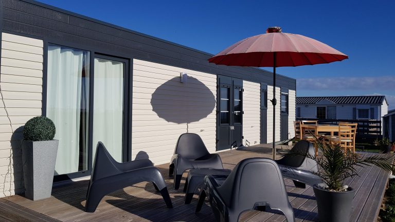 000007797971 768x432