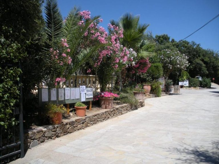 000001716961 768x576