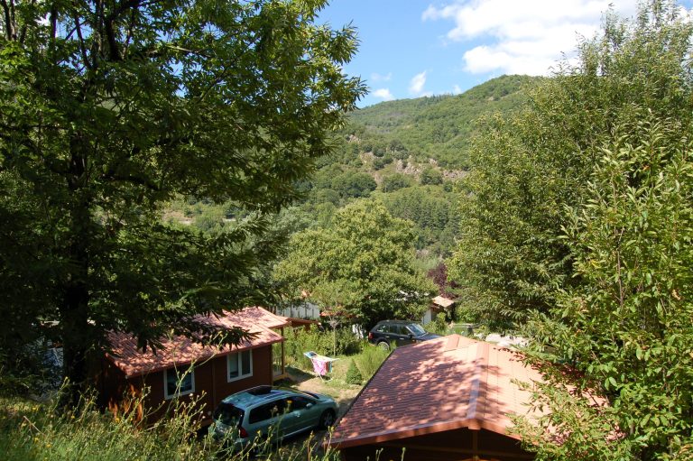 000003402631 768x511