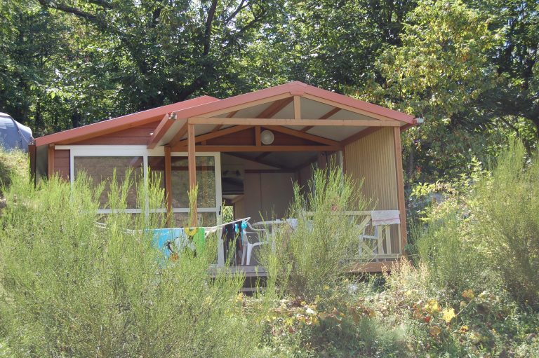 000003402641 768x511