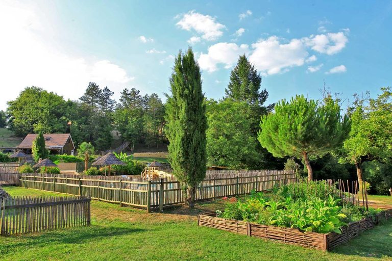 000004279531 768x512