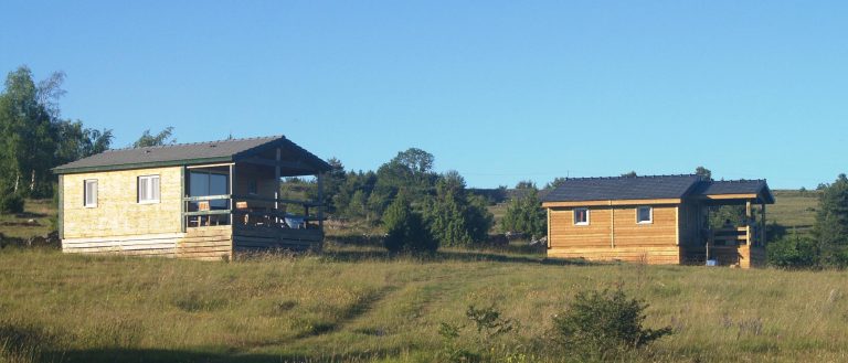 000004406431 768x329